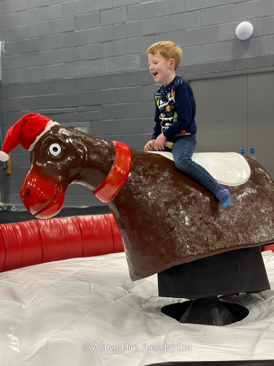 Rodeo Reindeer Hire